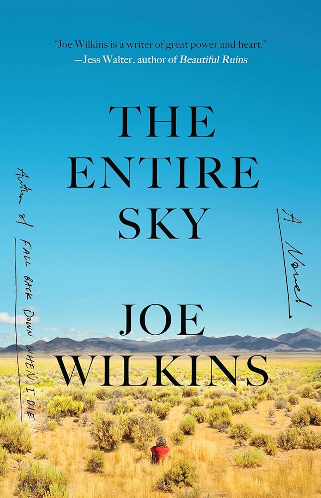 The Entire Sky: A Novel cover image
