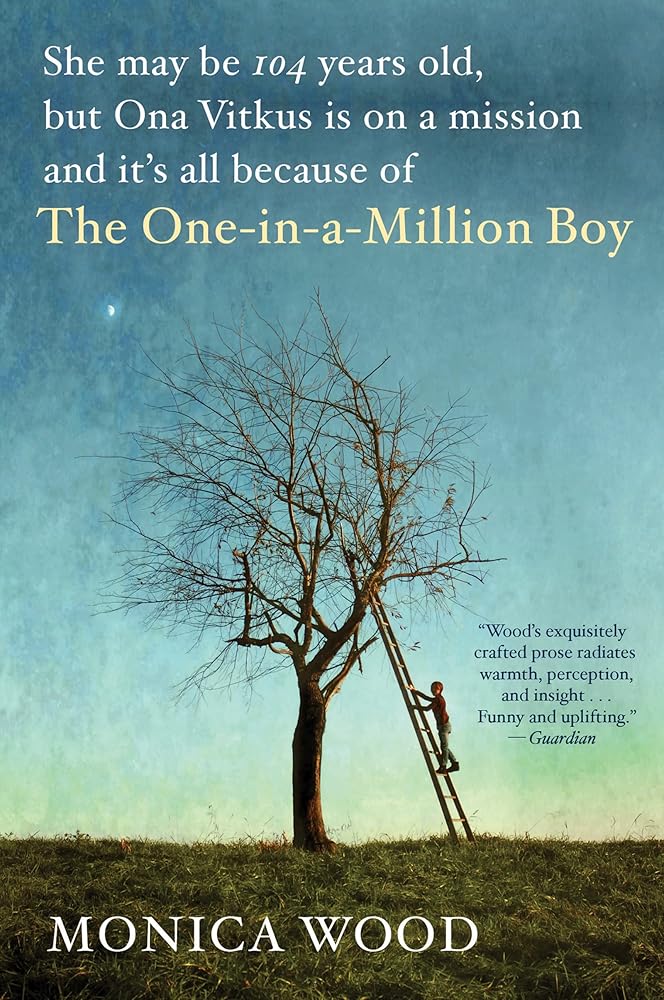 The One-In-A-Million Boy cover image