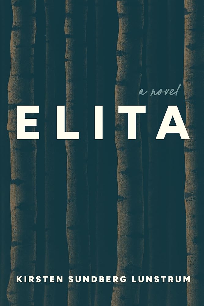 Elita: A Novel cover image