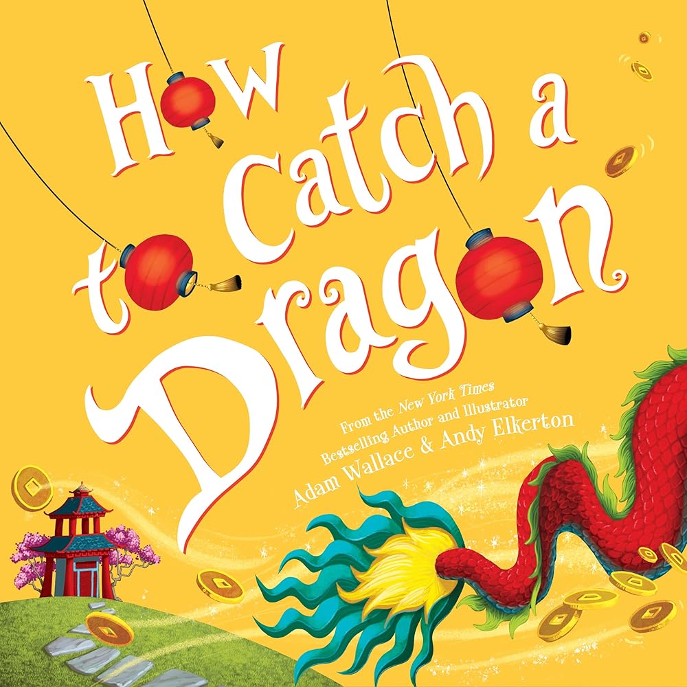 How to Catch a Dragon cover image