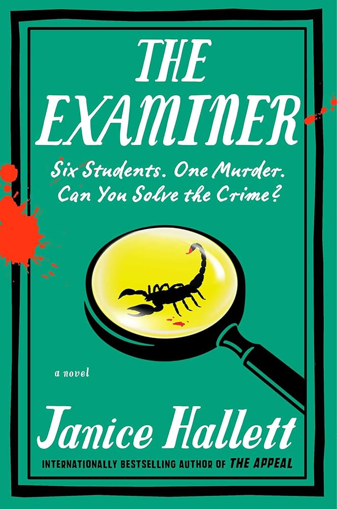 The Examiner: A Novel cover image