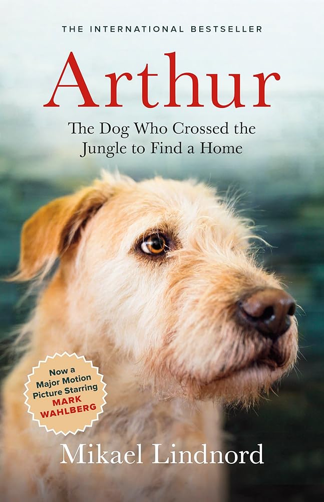 Arthur: The Dog who Crossed the Jungle to Find a Home ((Now the Film Arthur the King)) cover image