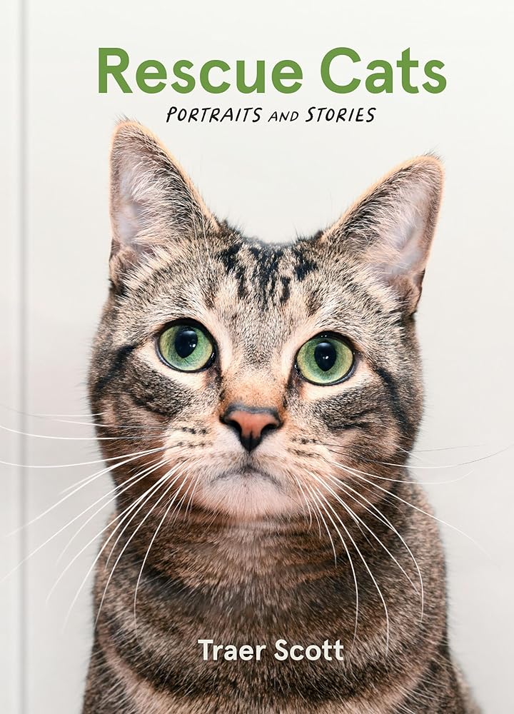 Rescue Cats: Portraits and Stories cover image