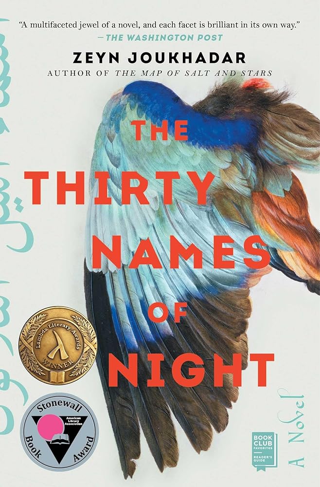 The Thirty Names of Night: A Novel cover image