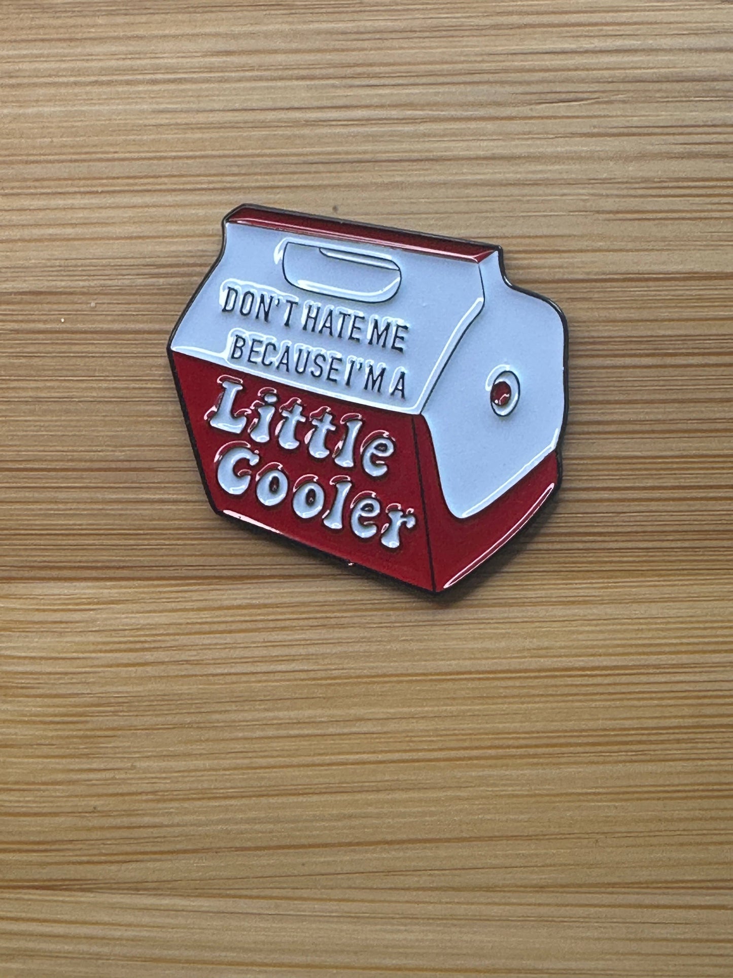 Don't Hate Me Because I'm a Little Cooler Pin