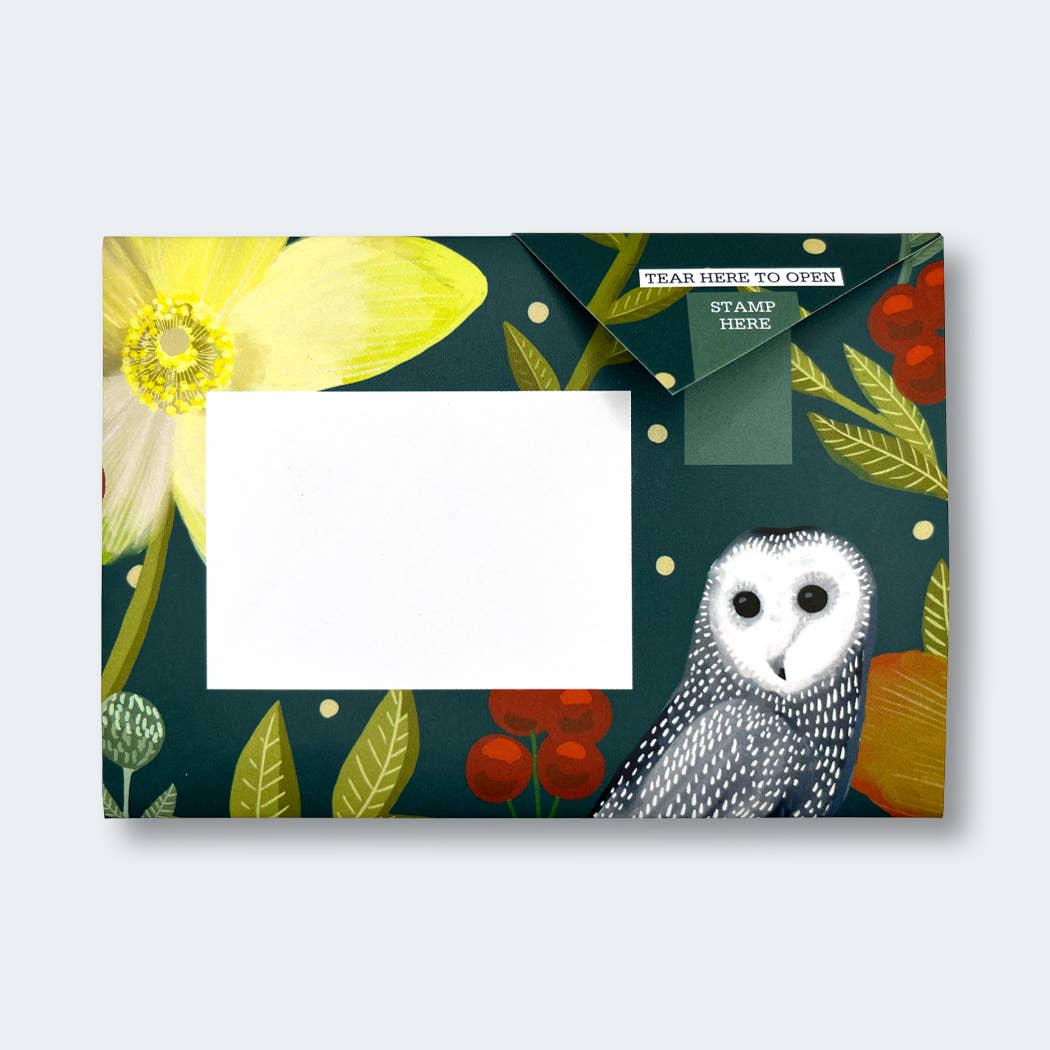 Dusk to Dawn Pigeon letter pack