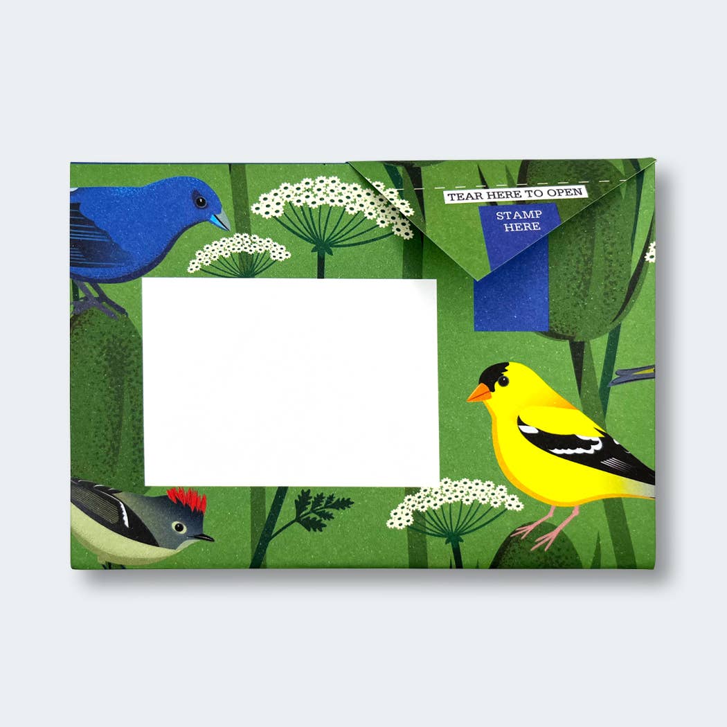 Carnival of Colour Pigeon letter pack