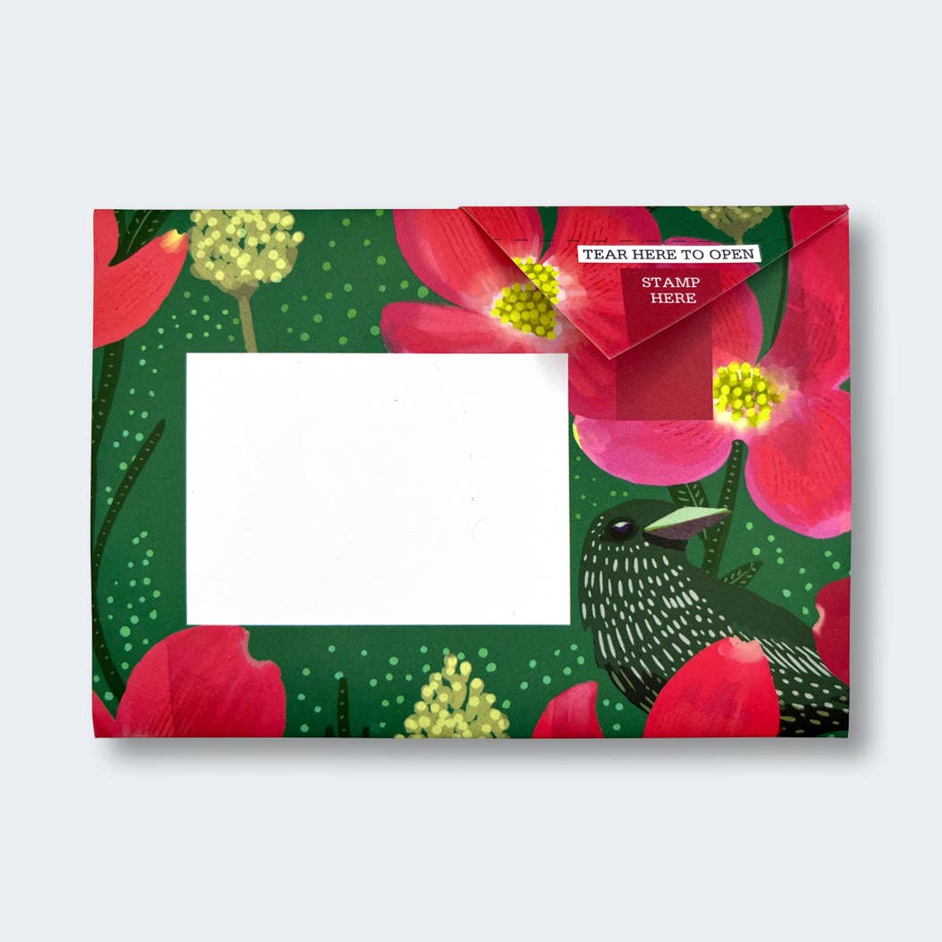 Dusk to Dawn Pigeon letter pack