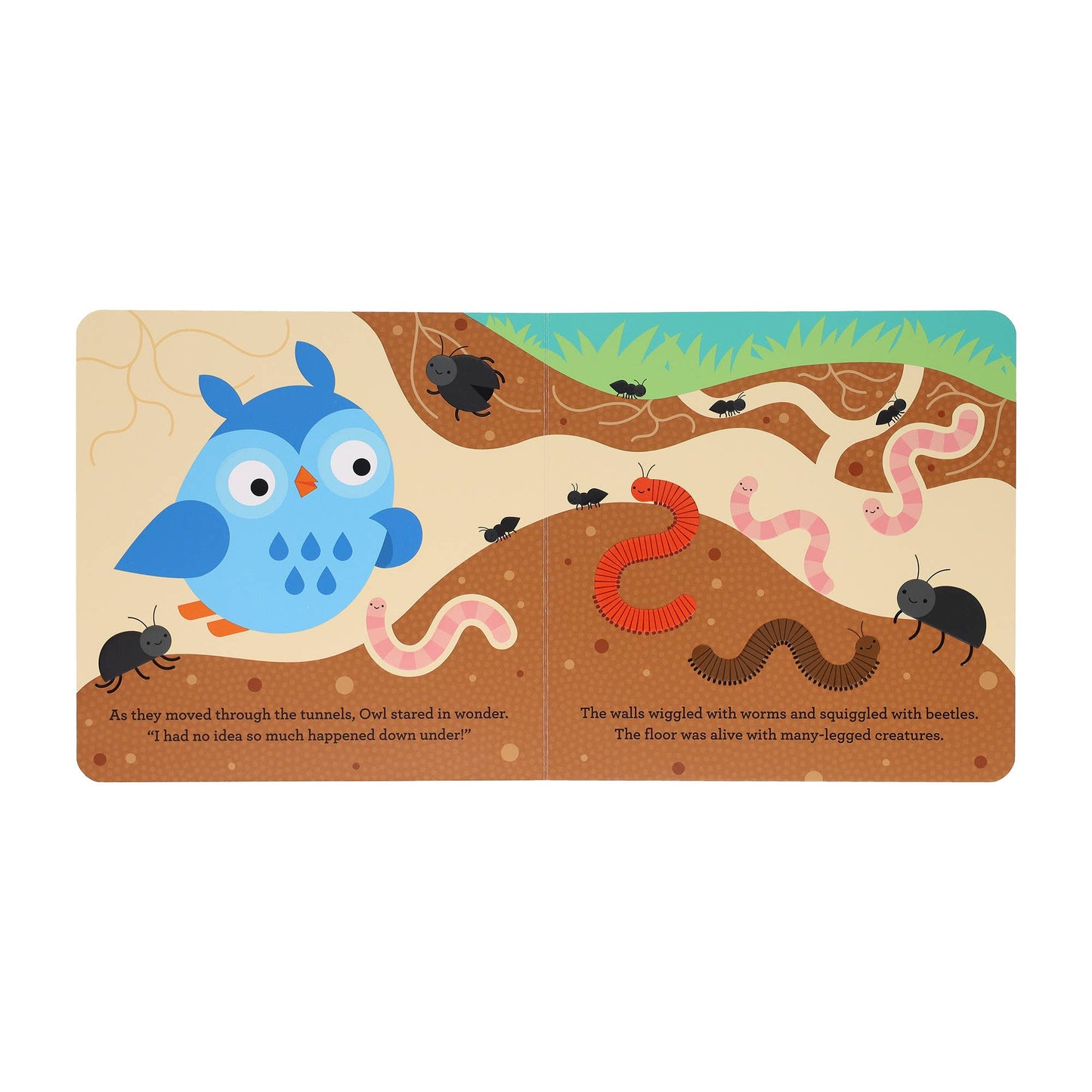 A Find and Feel Book: Down, Down, Under the Ground