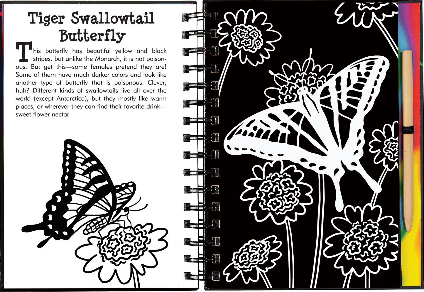 Butterflies and Friends Scratch and Sketch