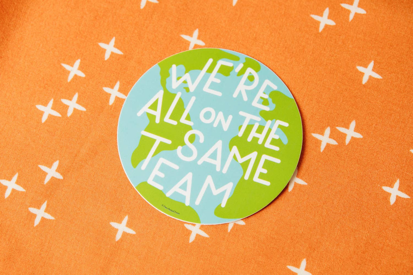We‚Äôre All on the Same Team Earth Vinyl Decal Sticker