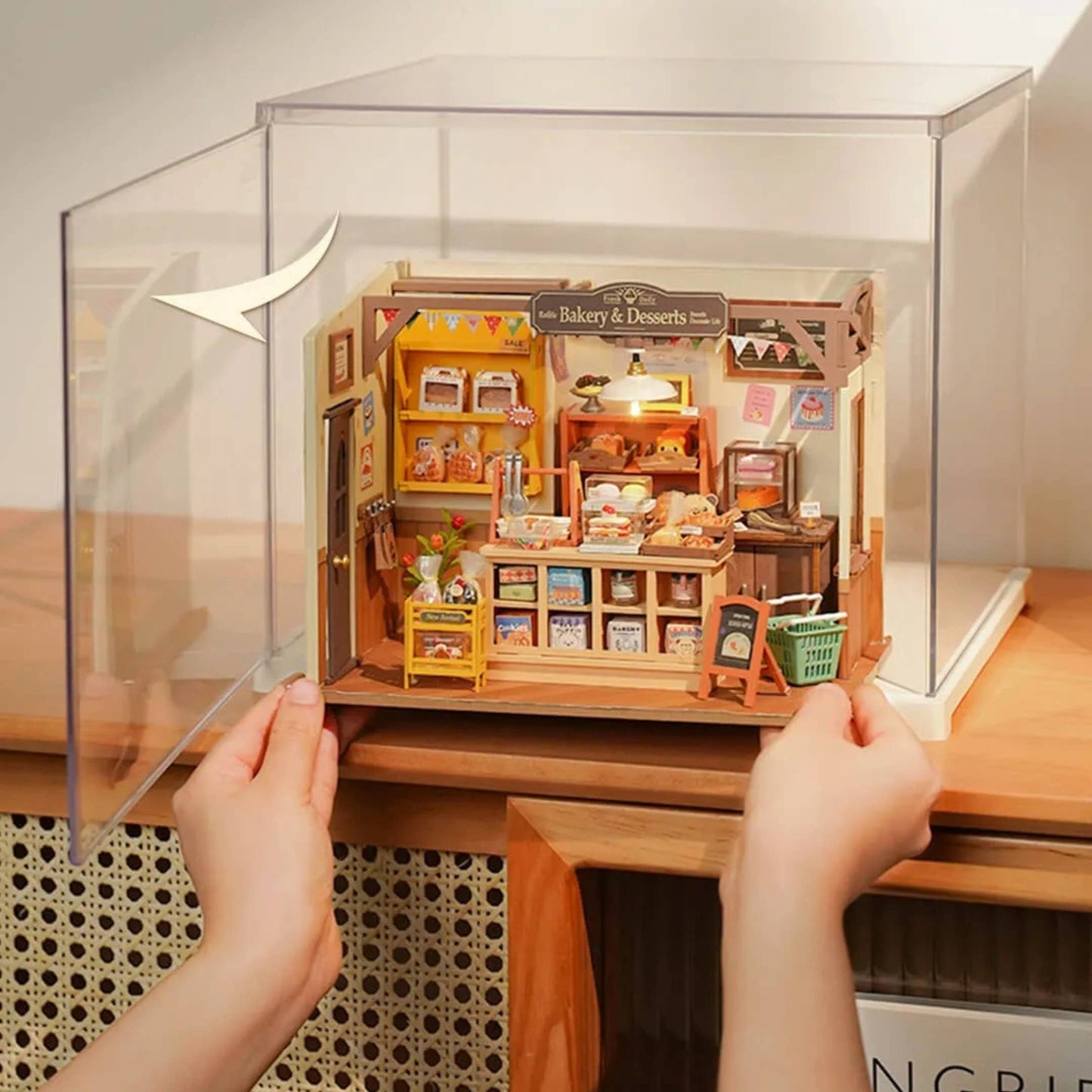 Plastic Display Case