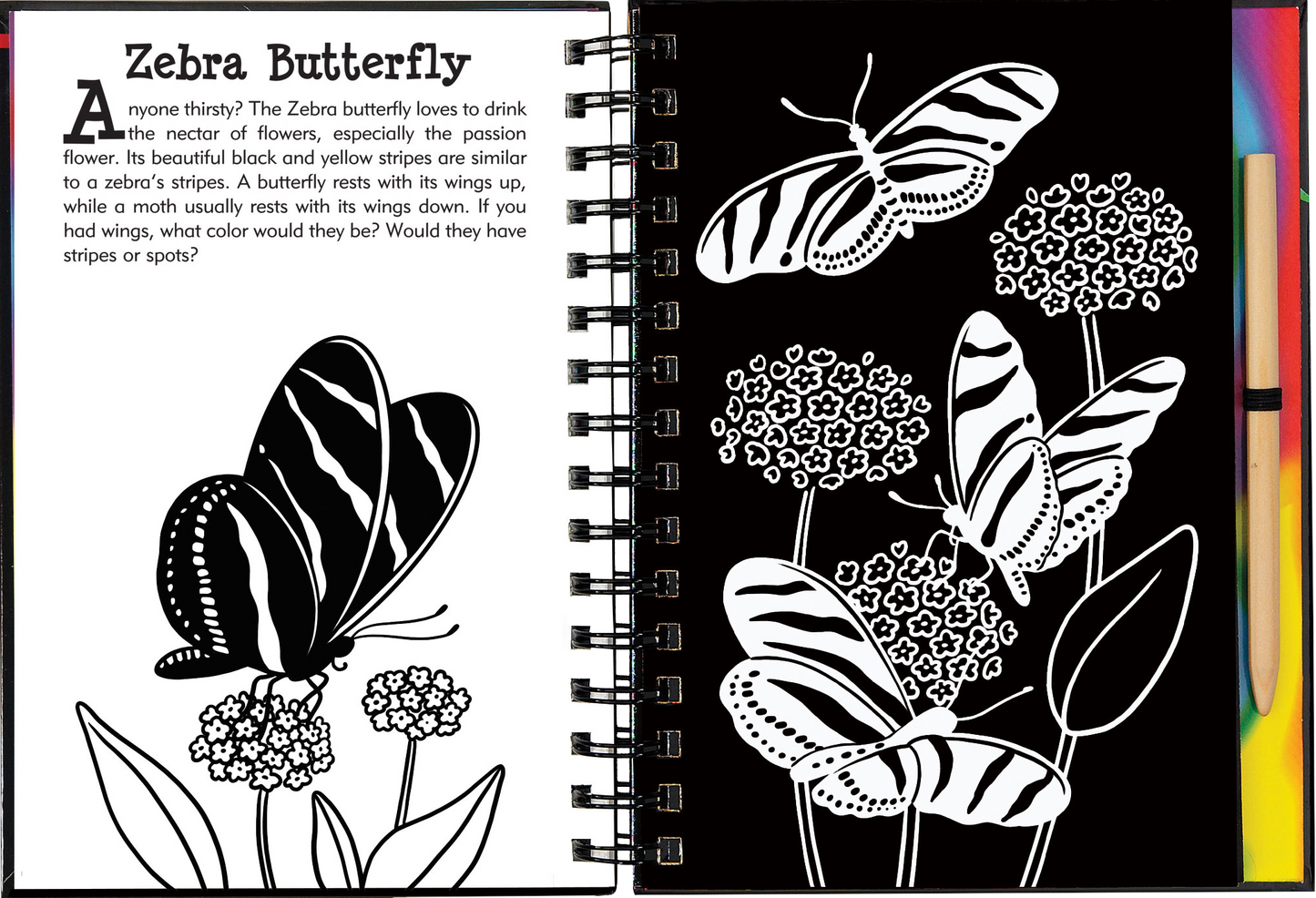 Butterflies and Friends Scratch and Sketch
