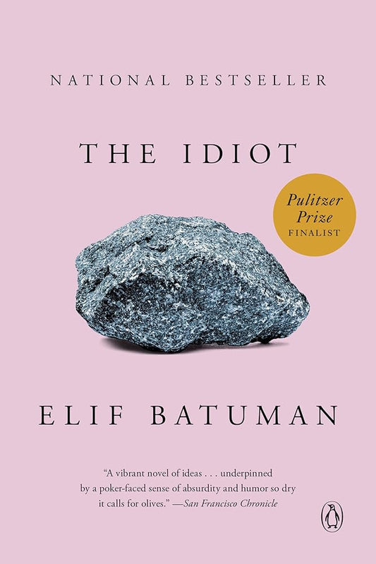 The Idiot: A Novel cover image
