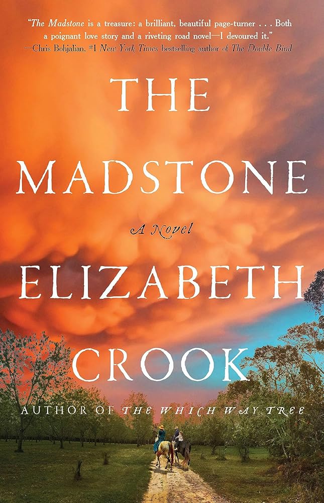 The Madstone: A Novel cover image