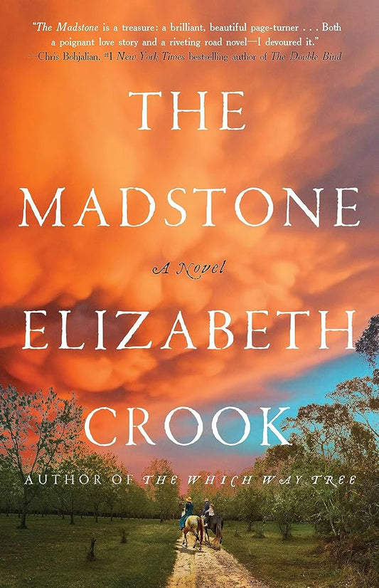 The Madstone: A Novel cover image