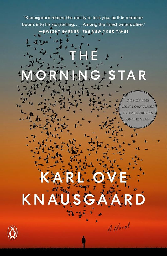 The Morning Star: A Novel cover image