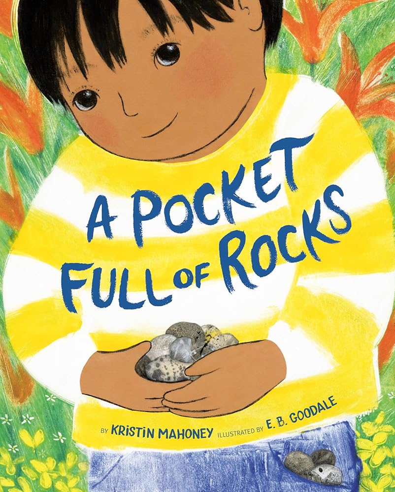 A Pocket Full of Rocks cover image