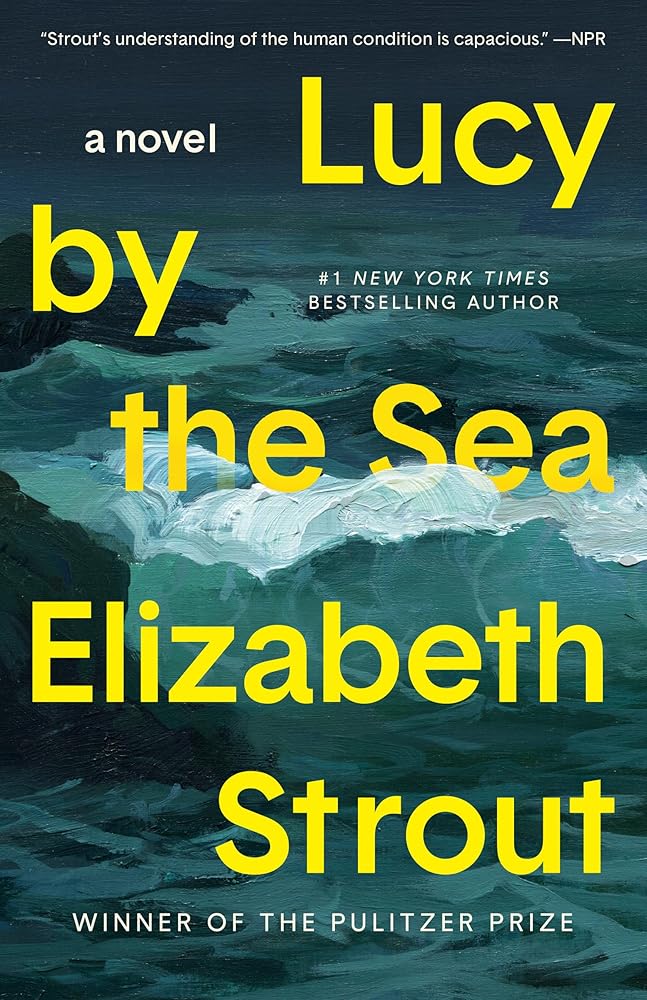 Lucy by the Sea: A Novel cover image