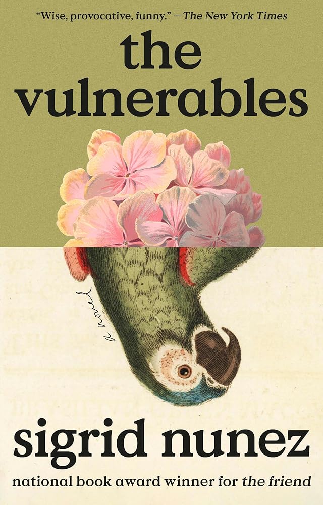 The Vulnerables: A Novel cover image