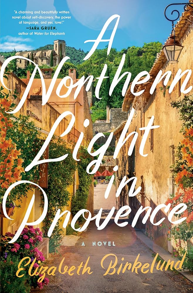 A Northern Light in Provence: A Novel cover image