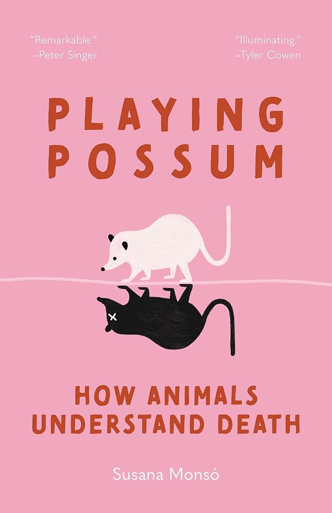 Playing Possum: How Animals Understand Death cover image
