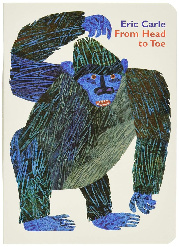 From Head to Toe Board Book cover image