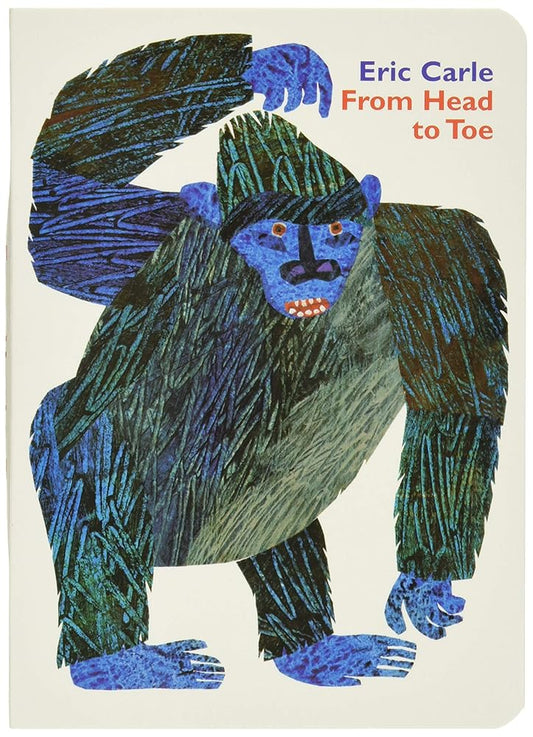 From Head to Toe Board Book cover image