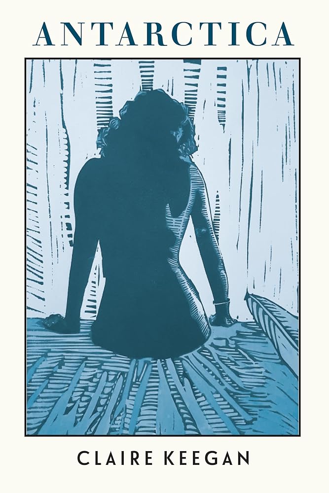 Antarctica cover image