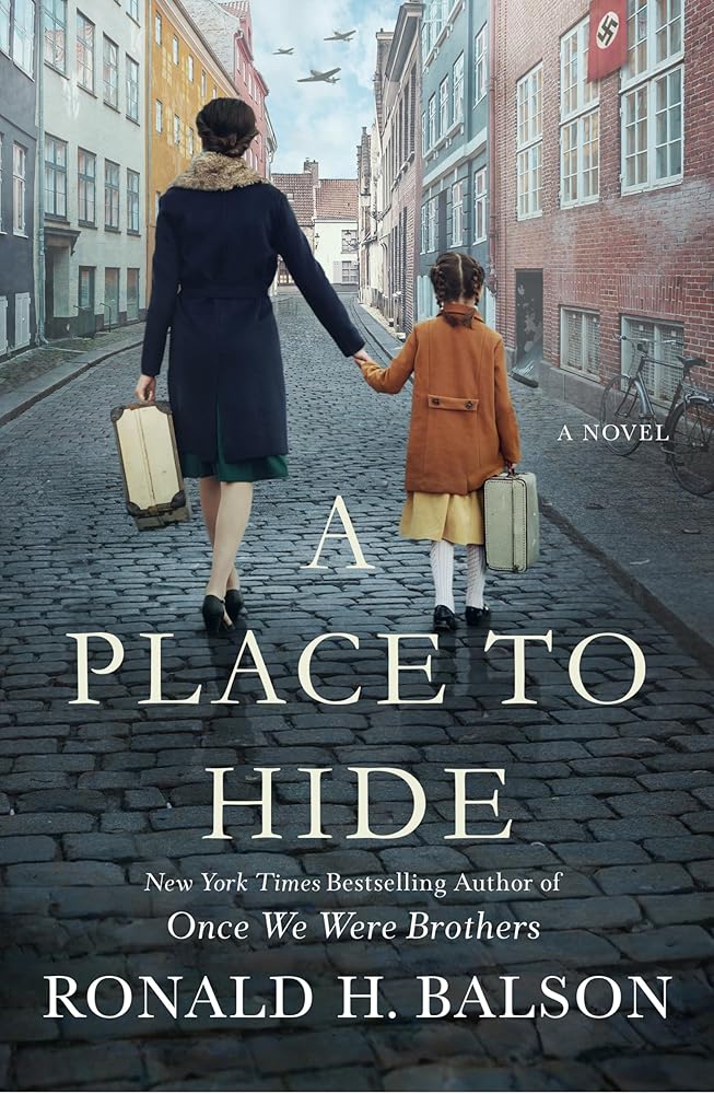 A Place to Hide: A Novel cover image