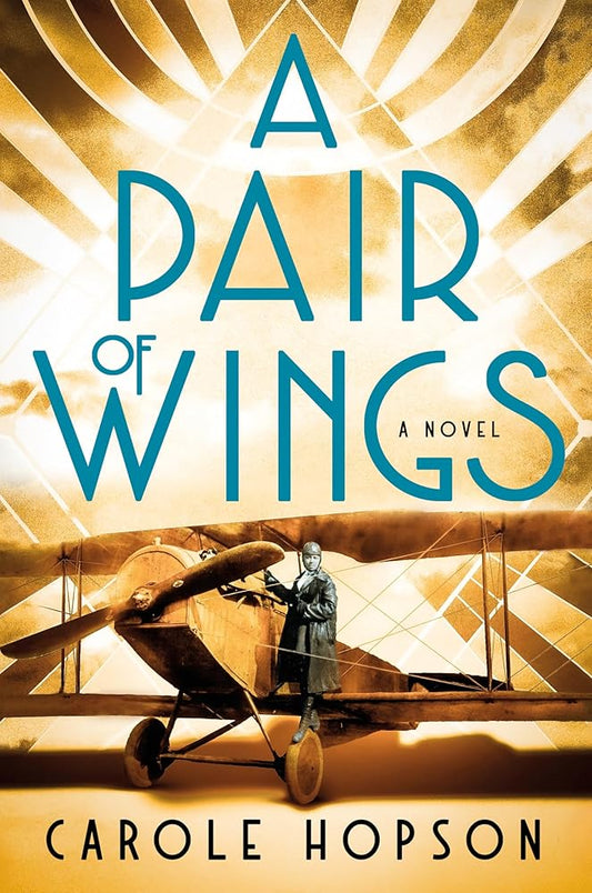 A Pair of Wings: A Novel cover image