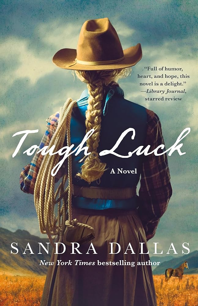 Tough Luck: A Novel cover image