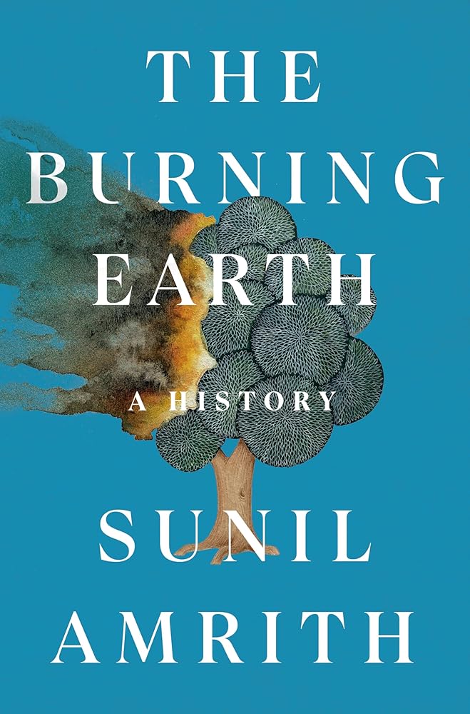 The Burning Earth: A History cover image