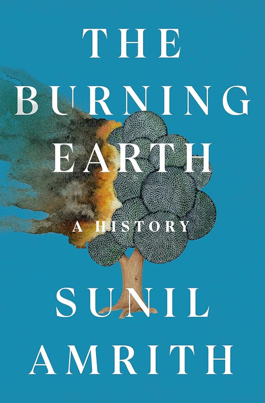 The Burning Earth: A History cover image