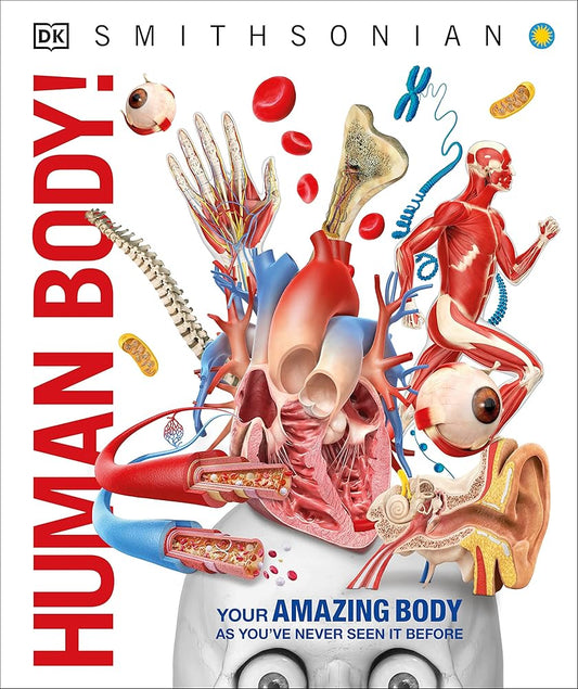 Knowledge Encyclopedia Human Body! (DK Knowledge Encyclopedias) cover image