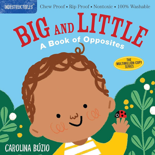 Indestructibles: Big and Little: A Book of Opposites: Chew Proof · Rip Proof · Nontoxic · 100% Washable (Book for Babies, Newborn Books, Safe to Chew) cover image