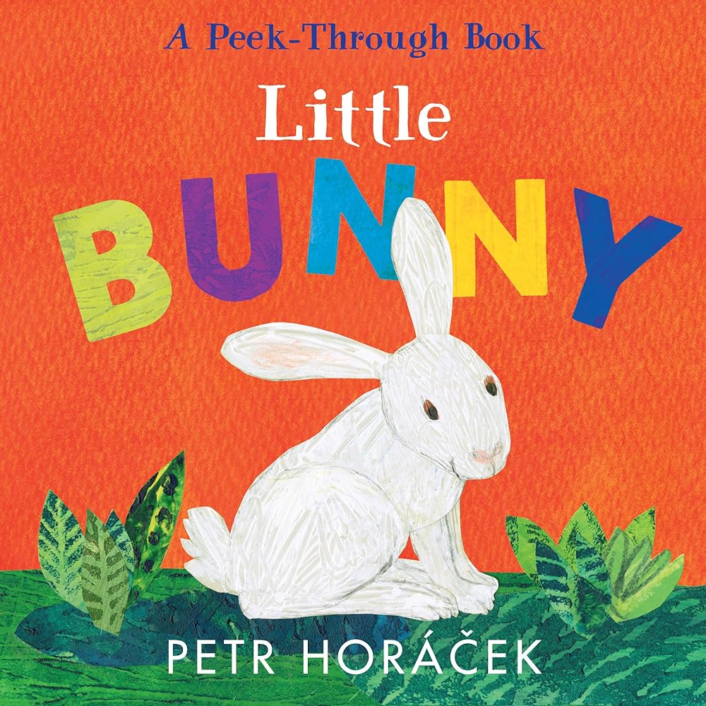 Little Bunny cover image