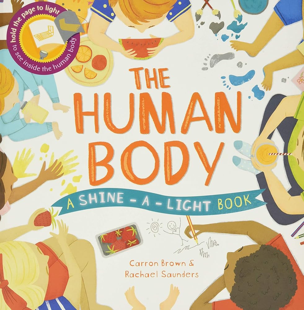 The Human Body (Shine-A-Light) cover image