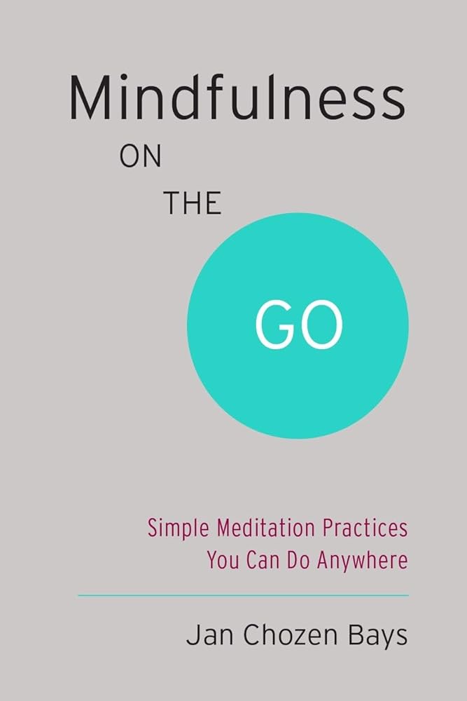 Mindfulness on the Go (Shambhala Pocket Classic): Simple Meditation Practices You Can Do Anywhere cover image