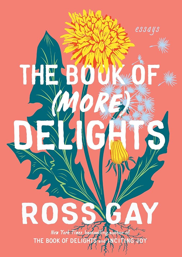 The Book of (More) Delights: Essays cover image