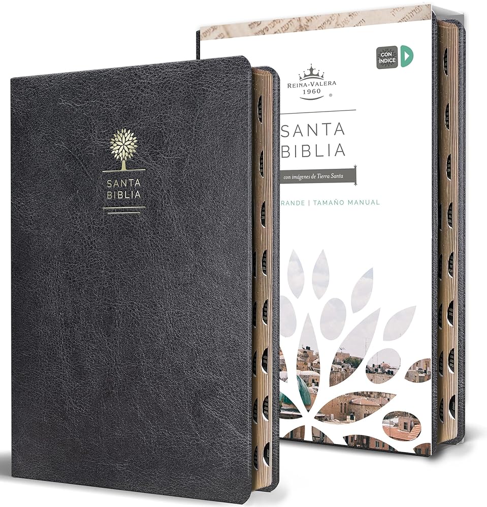 Biblia Reina Valera 1960 letra grande. Símil piel negro, índice, tamaño manual / Spanish Bible RVR 1960. Handy Size, Thumb Index, Large Print, Black Leath (Spanish Edition) cover image