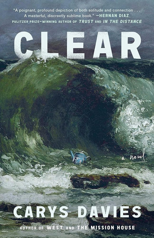 Clear: A Novel cover image