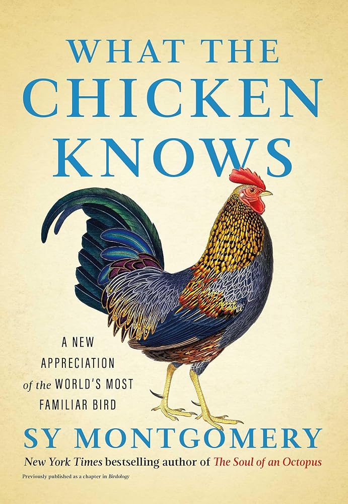 What the Chicken Knows: A New Appreciation of the World's Most Familiar Bird cover image