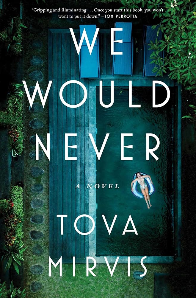 We Would Never: A Novel cover image