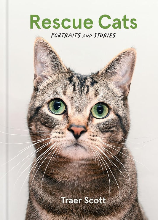 Rescue Cats: Portraits and Stories cover image