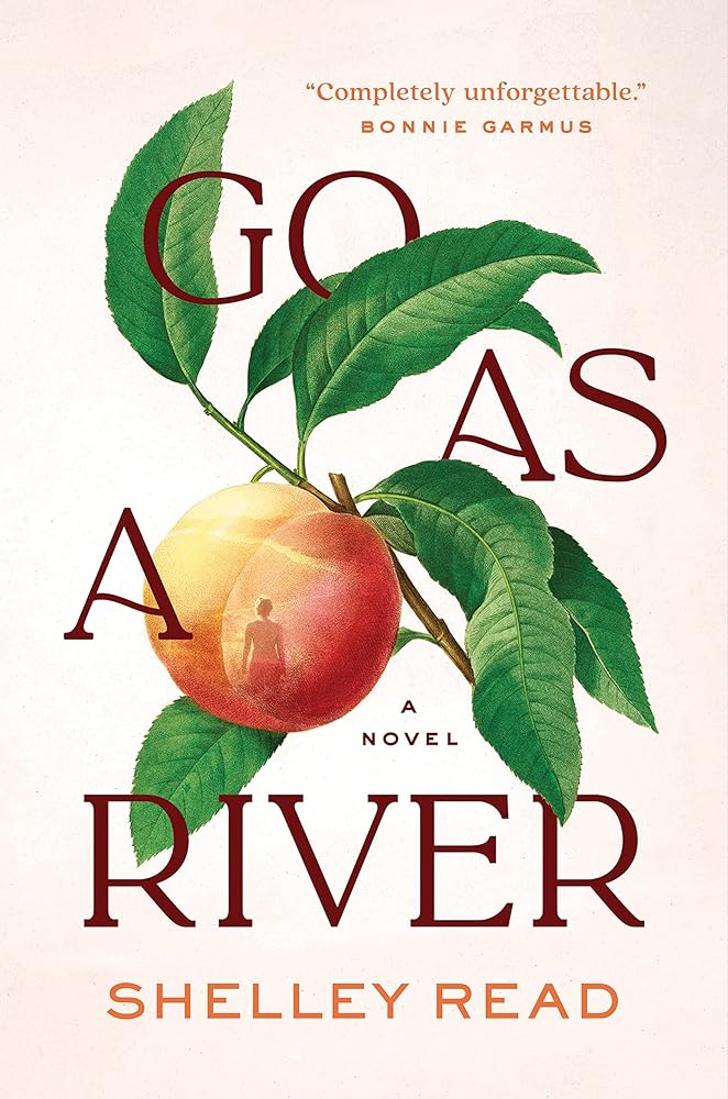 Go as a River: A Novel cover image