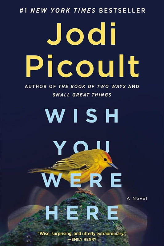 Wish You Were Here: A Novel cover image