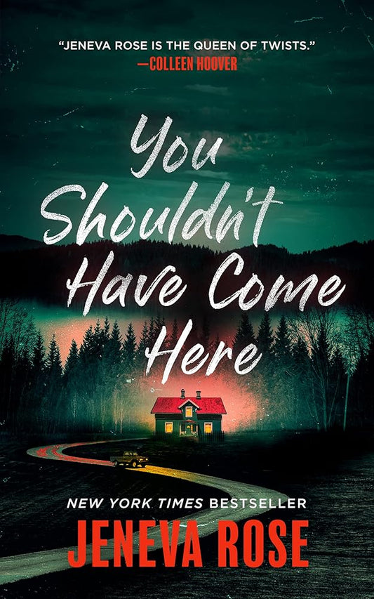 You Shouldn't Have Come Here cover image