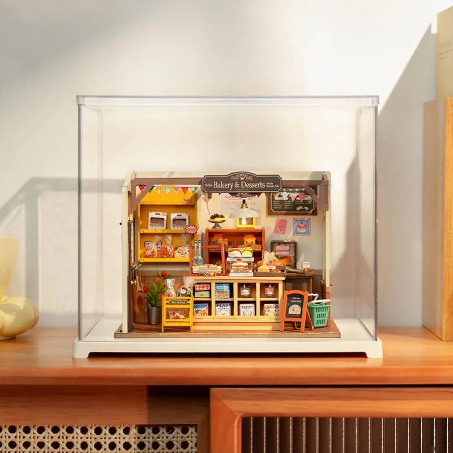 Plastic Display Case