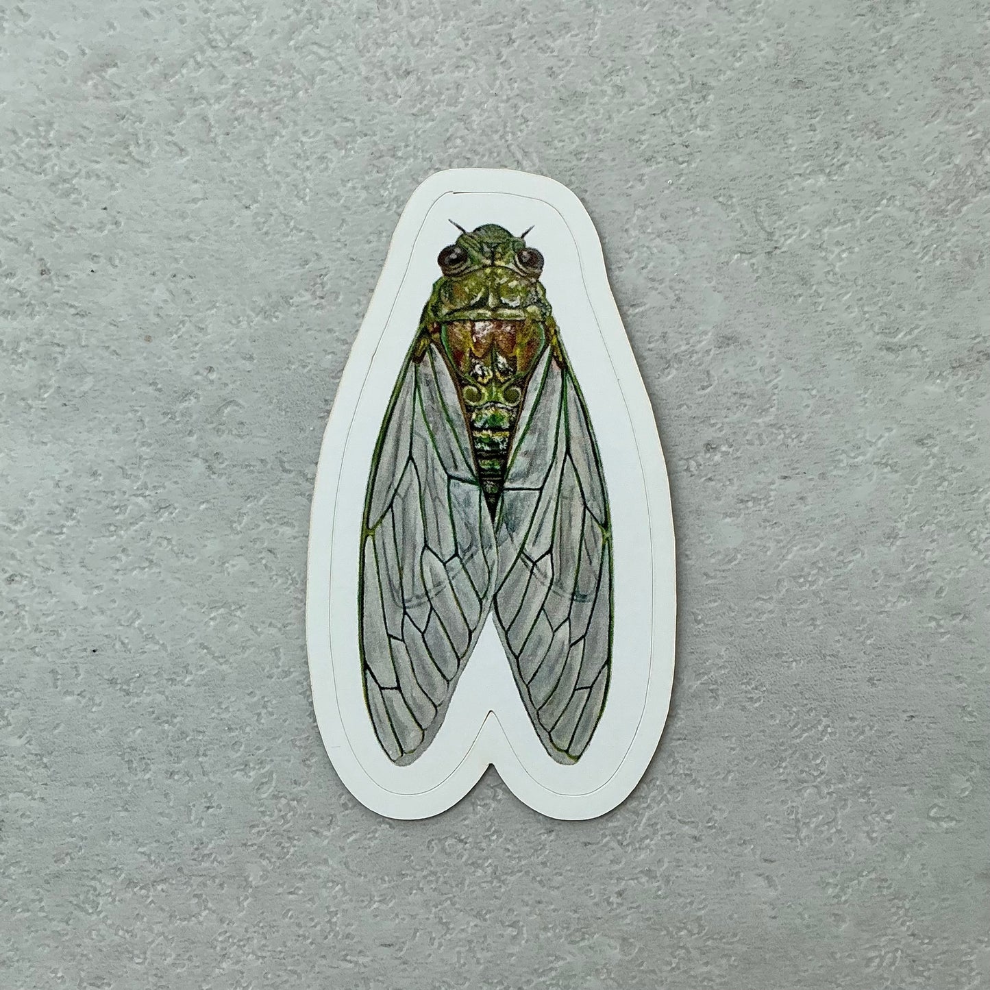 Cicada Sticker